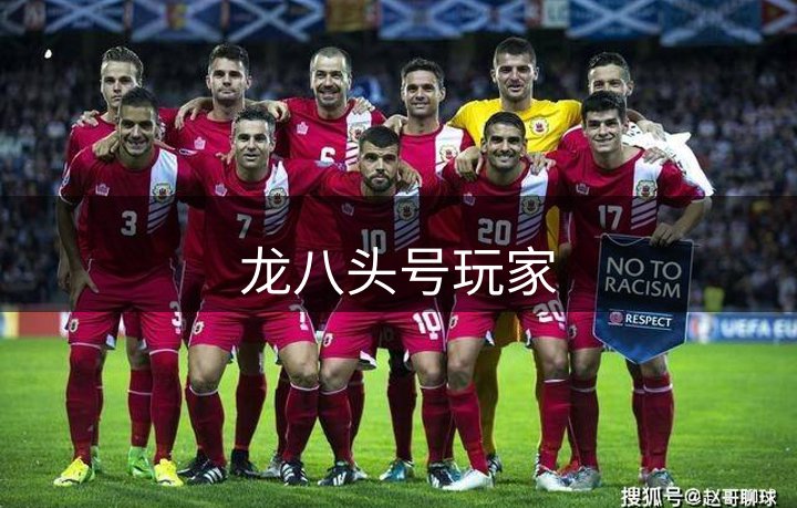 龙八头号玩家概况